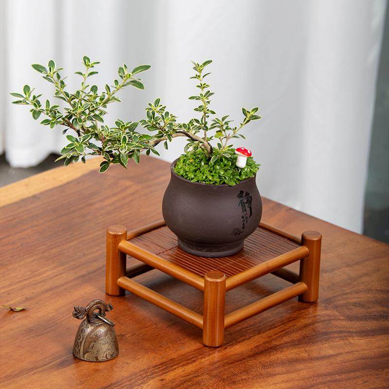 桌面小型花架多肉盆栽置物架工位桌上迷你小花几精致装饰摆件架子