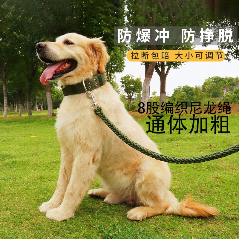 大狗牵引绳项圈式八股绳遛狗链子