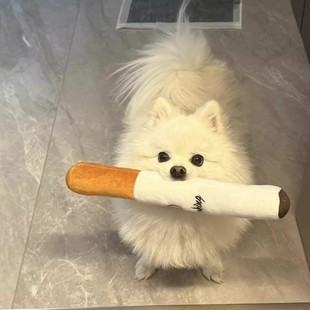 来根华子搞笑狗狗玩具仿真香烟毛绒耐咬发声咬不烂的比熊宠物玩具