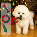 圣诞节狗狗玩具耐咬磨牙洁齿绳结编织宠物小型犬比熊节日装 扮礼物