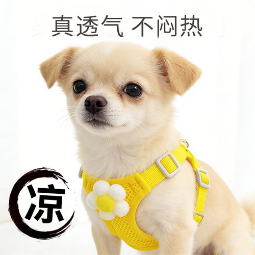 【清凉透气】薄款网孔胸背带狗绳