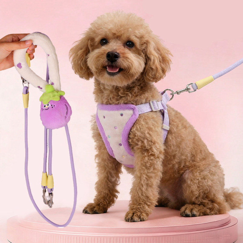 加绒胸背带狗狗牵引绳单绳双牵引中小型犬遛狗绳子背心式不勒脖链