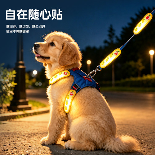 狗狗LED发光带警示灯防走失吊坠