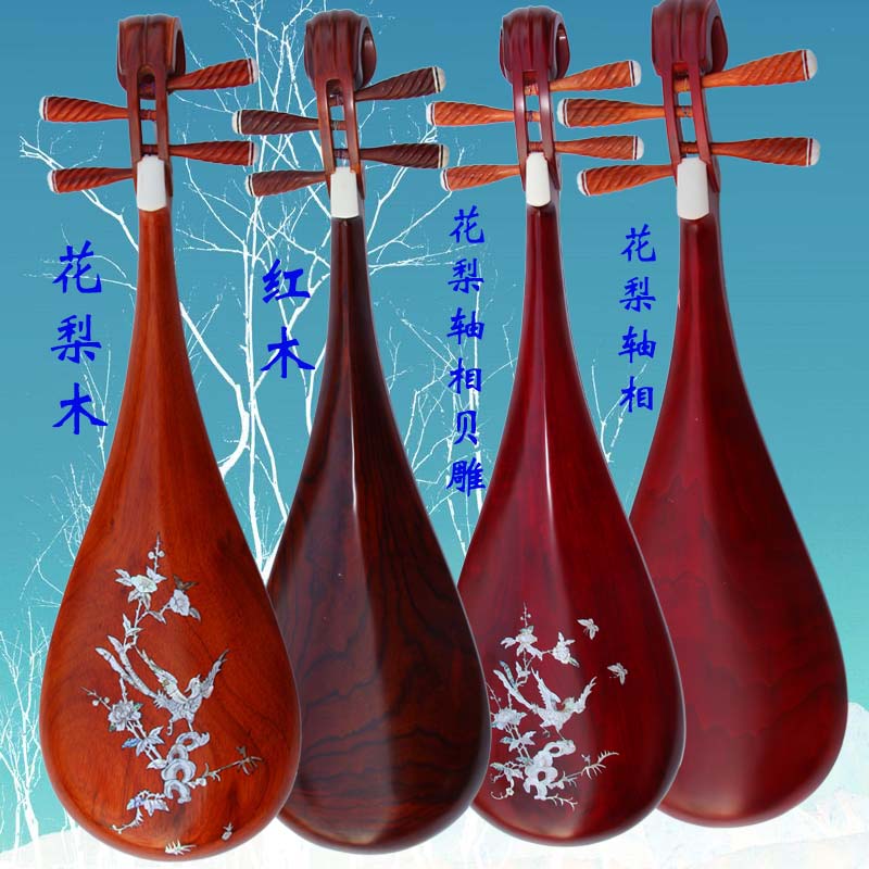 琵琶乐器初学考级专用花梨木琵琶