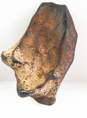 摩洛哥Taza塔扎铁陨石名家旧藏精品定向天铁原石 猎陨藏星