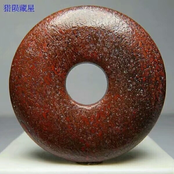 远古侏罗纪蜥脚类恐龙骨化石平安扣天然原石吊坠项链 猎陨藏星