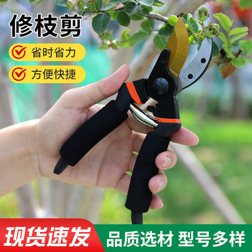 加厚sk5钢修枝剪园艺苗圃果枝省力剪粗枝园林跨境果树剪批发