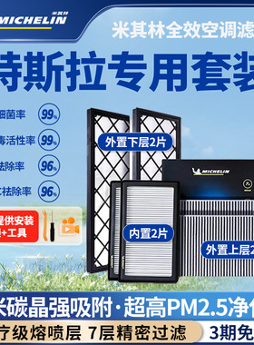 米其林空调滤芯适用特斯拉model Y毛豆丫model3内外置6片全套滤芯