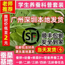 优质蚕宝宝学生养蚕套装 蚕卵蚕子春蚕宝宝卵幼虫七彩蚕龄桑叶新鲜