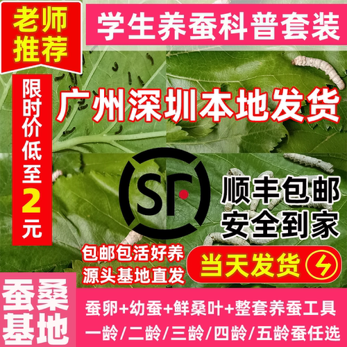 蚕桑基地源头直发蚕宝宝当天发货