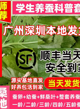 蚕宝宝活体学生养蚕套装蚕桑基地