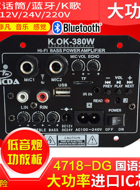双话筒大功率蓝牙功放板12V24V220V低音炮功放板音箱主板车载通用