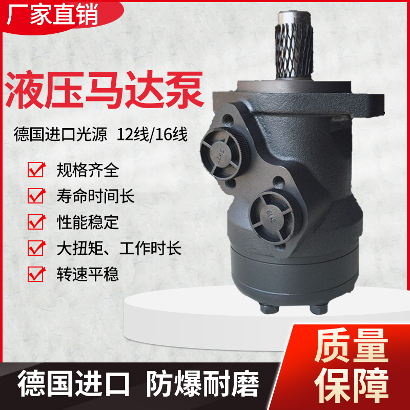 镇江大力液压马达bmr bm1-50 80 100 125 160 200 250 315 400