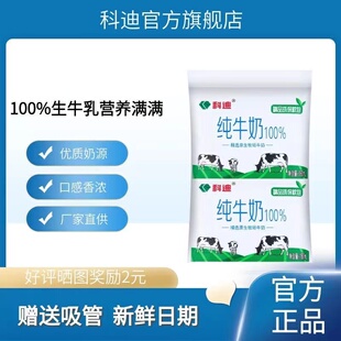 科迪纯牛奶网红奶精品枕小白奶180ml*16袋装整箱学生营养早餐奶