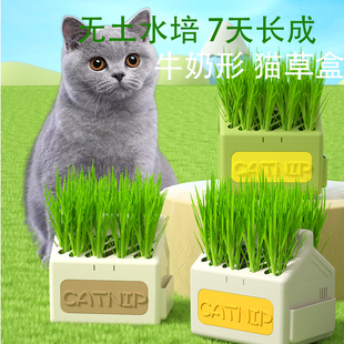 猫草盆栽种植小麦子牛奶盒育苗盘懒人猫薄荷幼猫咪化毛草零食用品