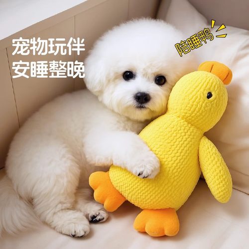 【比熊狗狗陪睡玩具】毛绒小黄鸭
