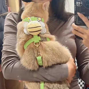 外出专用绳子遛猫链狗狗绳 猫咪牵引绳防挣脱外出专用胸背带背心式
