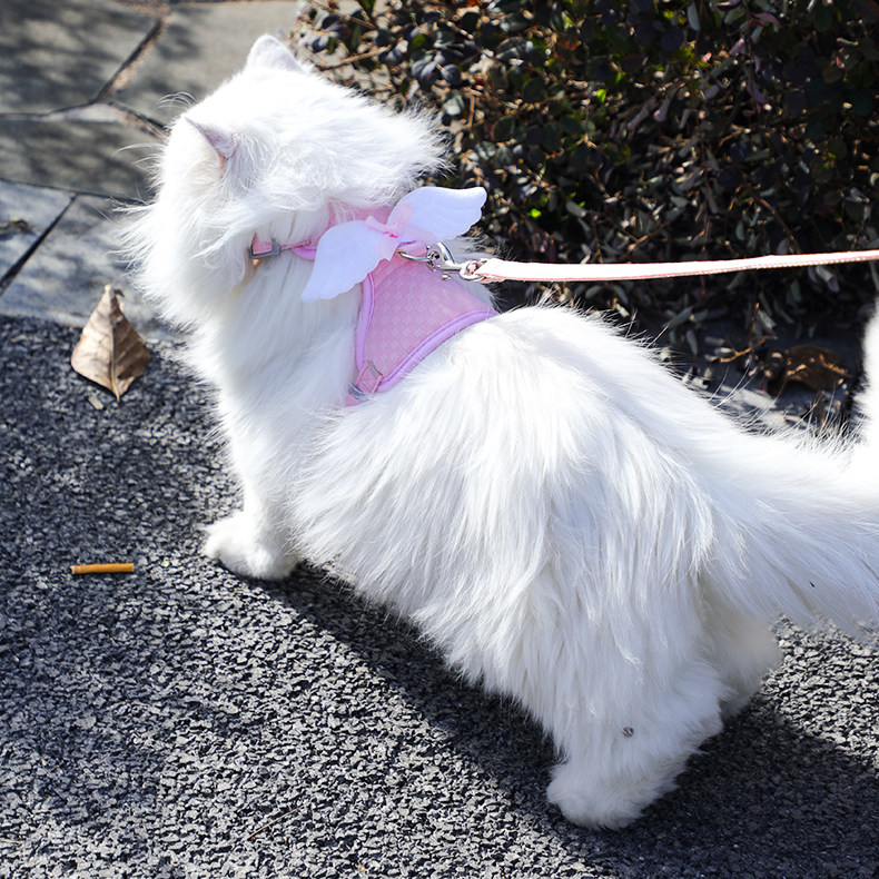 【猫咪外出专用】胸背带牵引绳