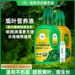 植物营养液通用性水培绿植专用室内盆栽养花肥料绿萝发财树富贵竹