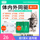 凯锐思猫咪狗狗驱虫药体内外一体跳蚤绦虫猫用宠物非泼罗尼滴剂