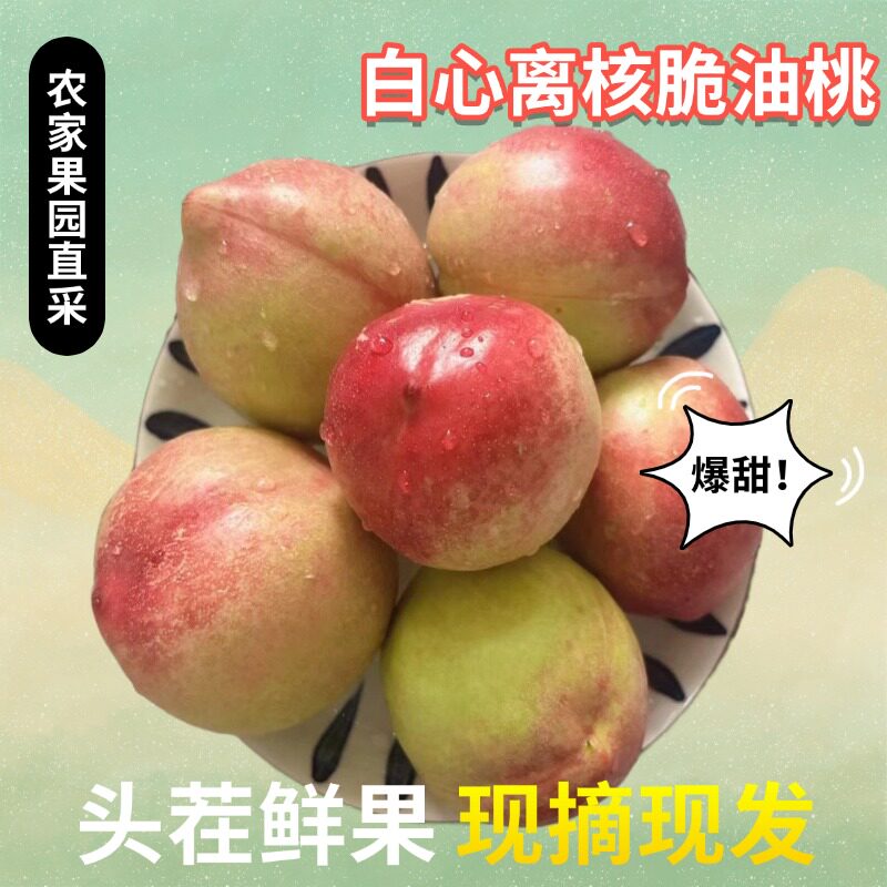 正宗陕西农家杠9白心脆甜油桃当季果园现摘孕妈儿童水果10斤装
