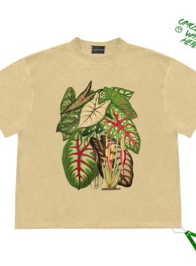 纯棉欧美潮牌植物草短袖t恤男女宽松ins街头风复古半袖体恤上衣服
