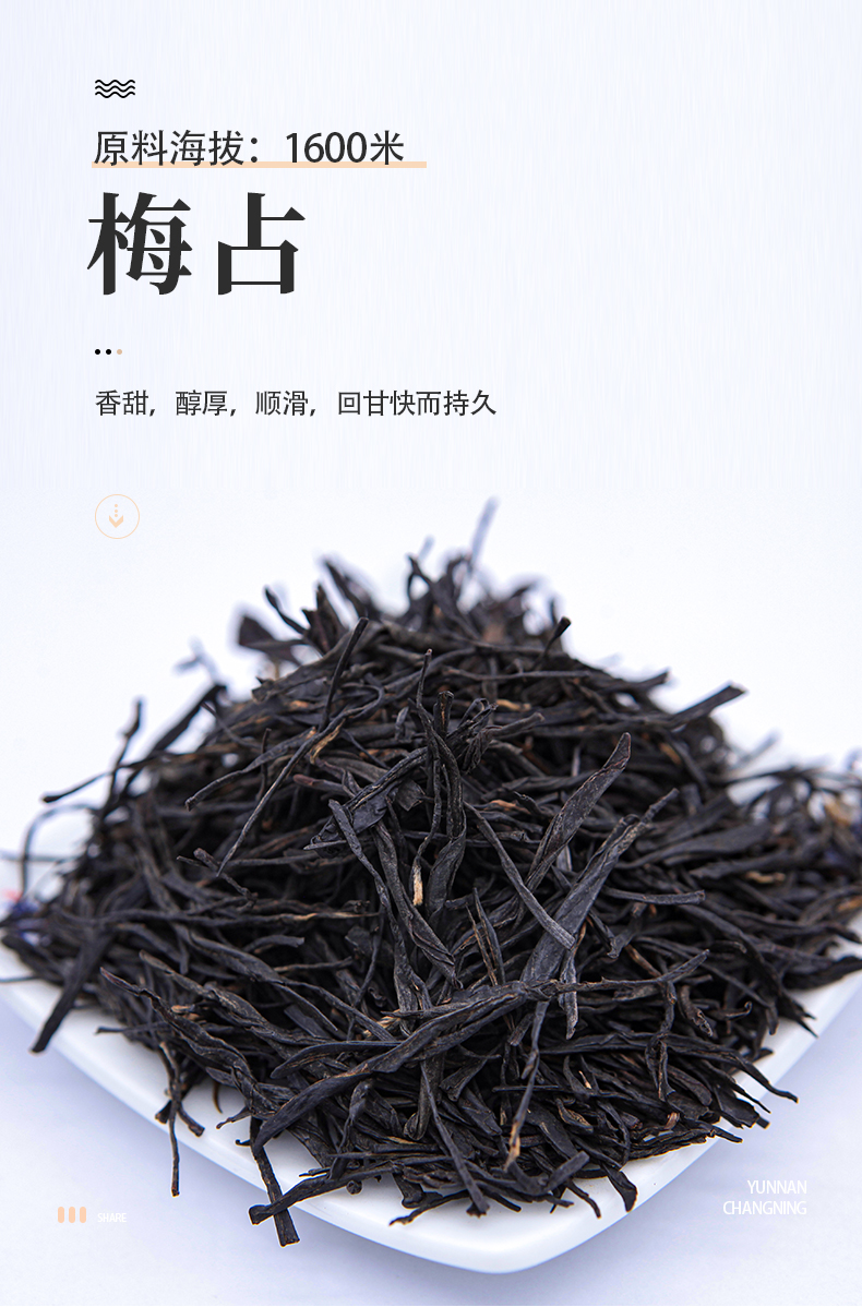 梅占传统滇红云南保山昌宁大叶种