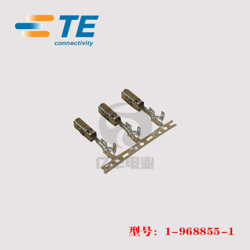 TE连接器1-968855-1正品现货原装