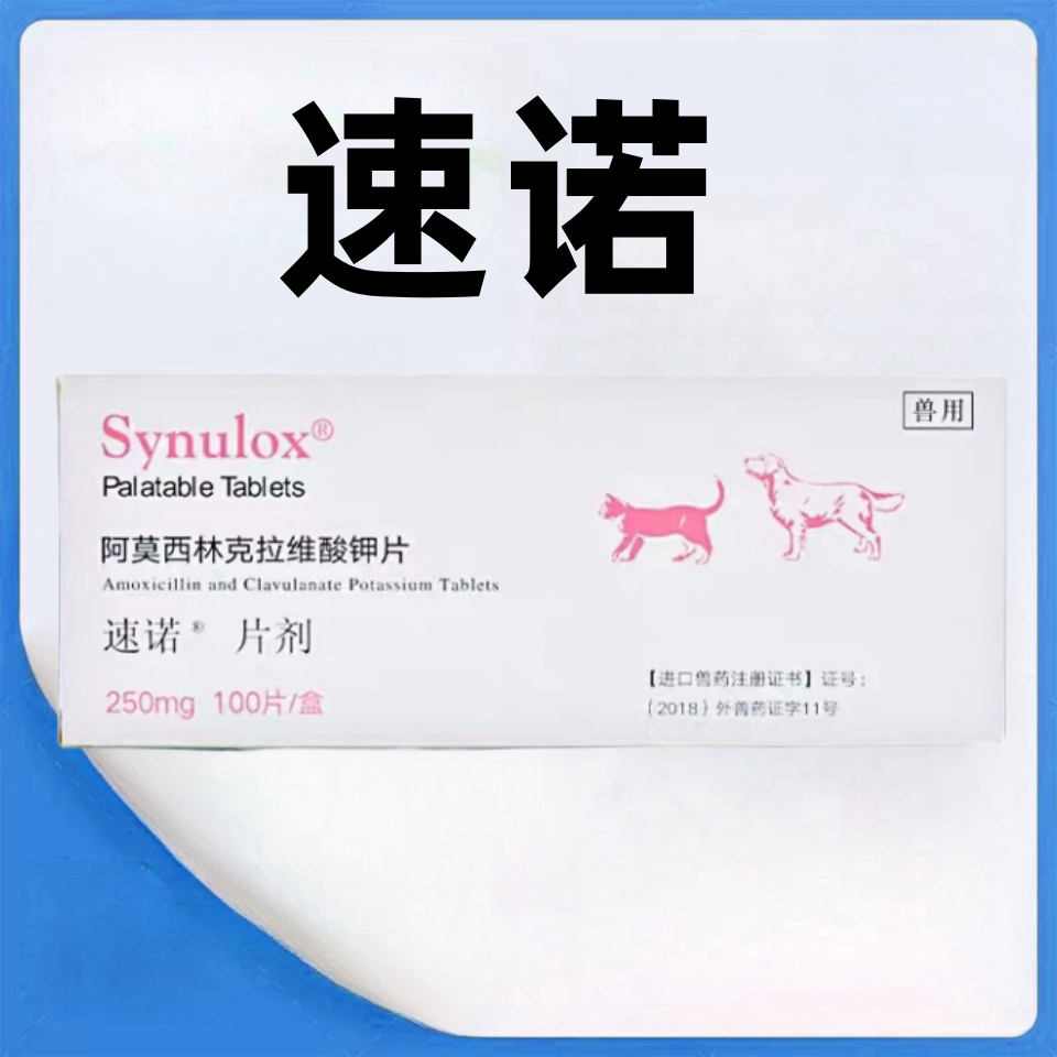 宠物速诺片,宠物速诺片说明书(第5页)_大山谷图库