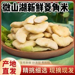 微山湖里特产新鲜现摘现磕新鲜菱角米1斤包邮