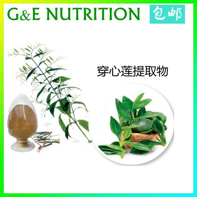 500g 纯天然 穿心莲提取物 穿心莲浓缩粉 10:1 量大优惠 包邮