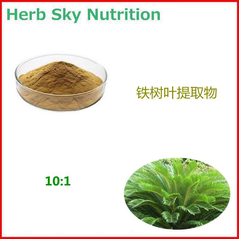 1000g 纯天然铁树叶提取物 铁连草 红叶铁树浓缩粉末 10:1 包邮