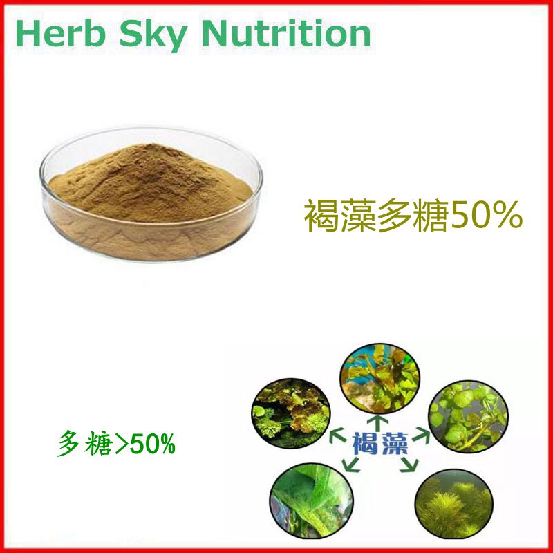 褐藻多糖50% 高含量褐藻提取物 水溶性植物提取物粉末 包邮