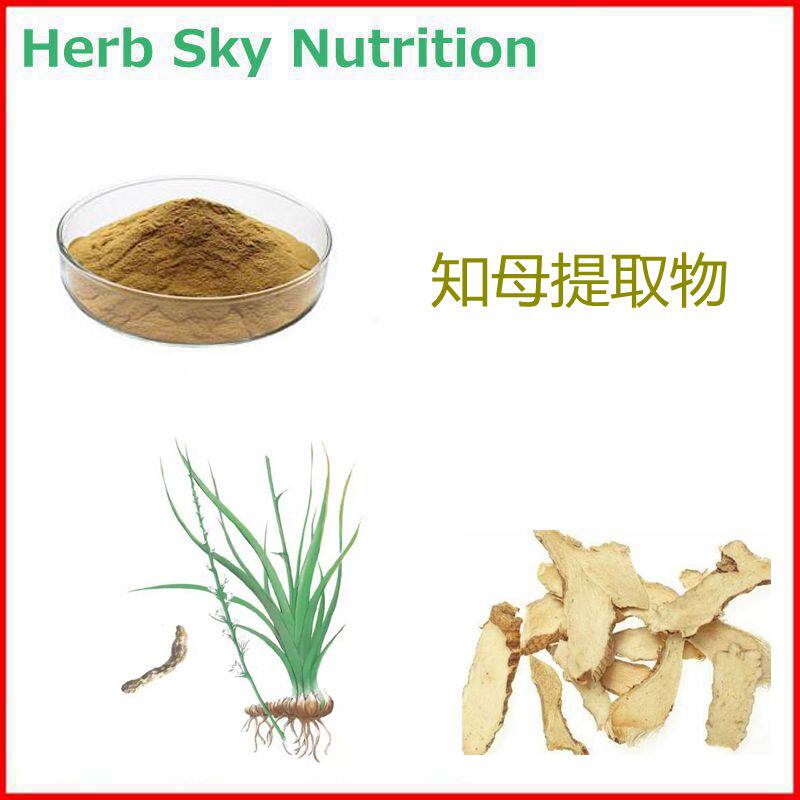 500g 现货供应 知母提取物 10:1 知母浓缩粉末 包邮