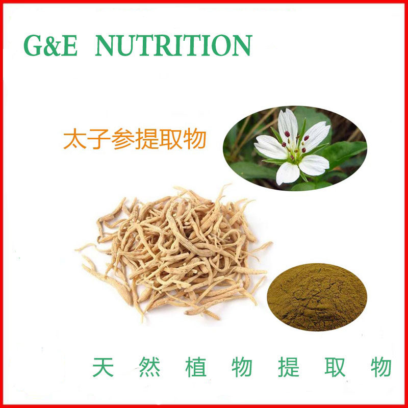 太子参提取物 10:1 植物太子参 太子参粉现货包邮 500g