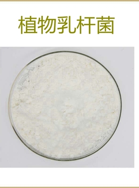 纯天然 植物乳杆菌100亿cfu/g 益生菌冻干粉 散装原料 包邮现货