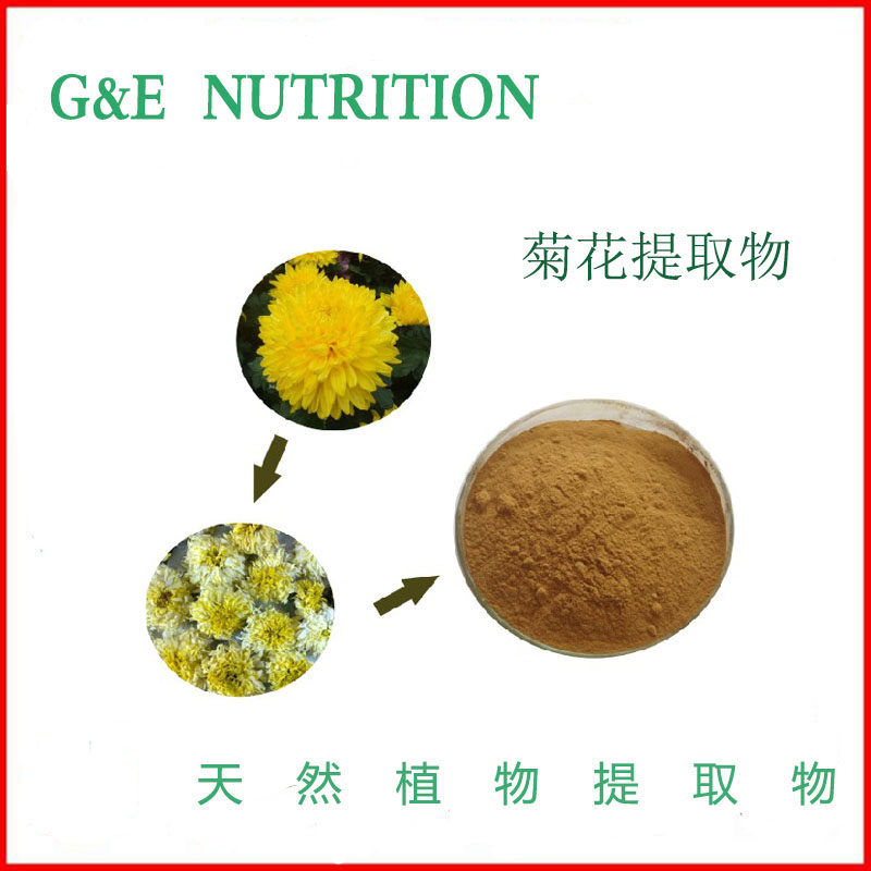 天然 菊花提取物 10:1 白菊浓缩粉末（500克/袋） 新品优惠包邮