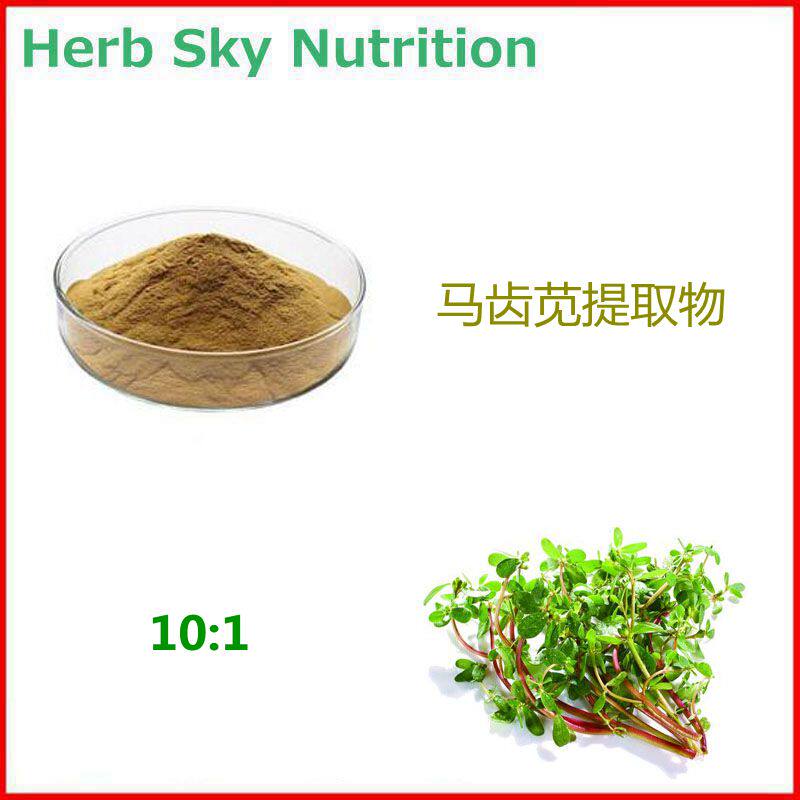 1000g 纯天然马齿苋提取物 马齿苋浓缩粉末 10:1 包邮现货