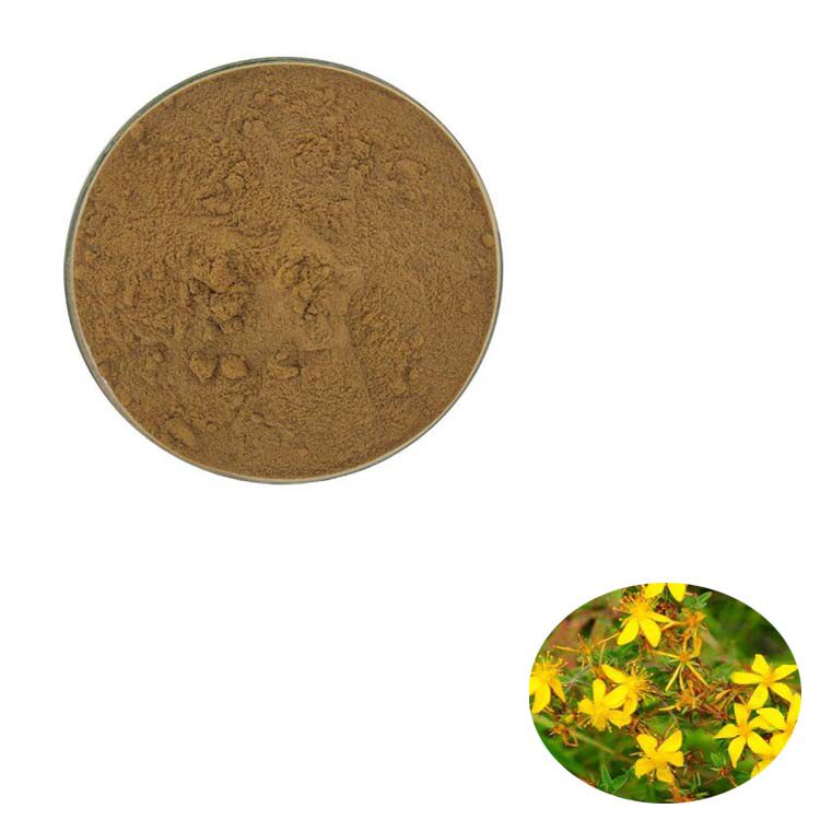 500g 纯天然 20:1 贯叶连翘提取物 贯叶金丝桃浓缩粉末 包邮现货