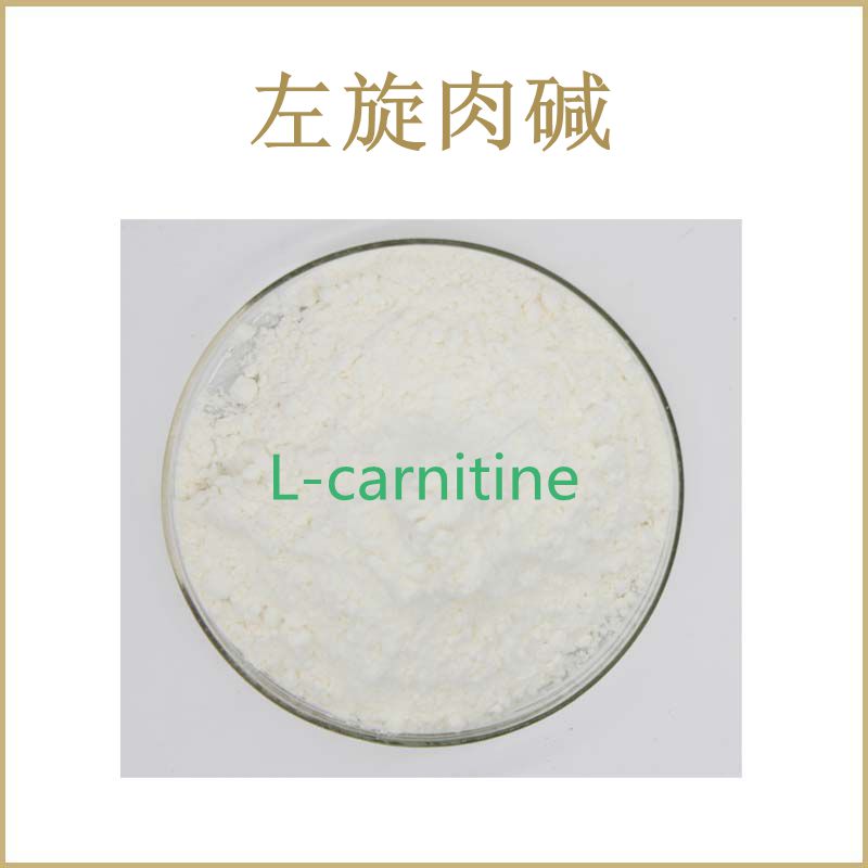 高含量 左旋肉碱99% L-carnitine 卡尼丁 散装粉末原料 包邮