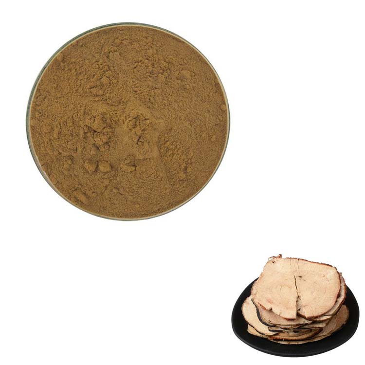 500g 纯天然 20:1 东革阿里提取物 高含量浓缩粉末 包邮现货