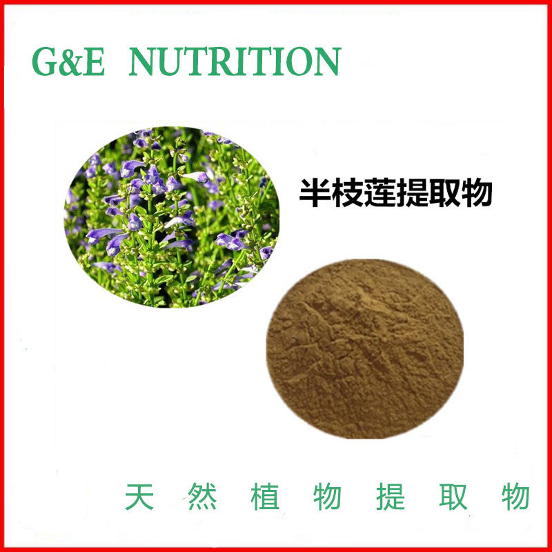 半枝莲提取物 浓缩粉 10:1 浓缩粉末 100g 包邮 厂家直销
