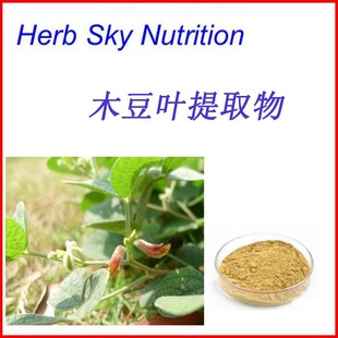 木豆叶提取物 粉末 纯天然浓缩粉 10:1 100g每包 包邮