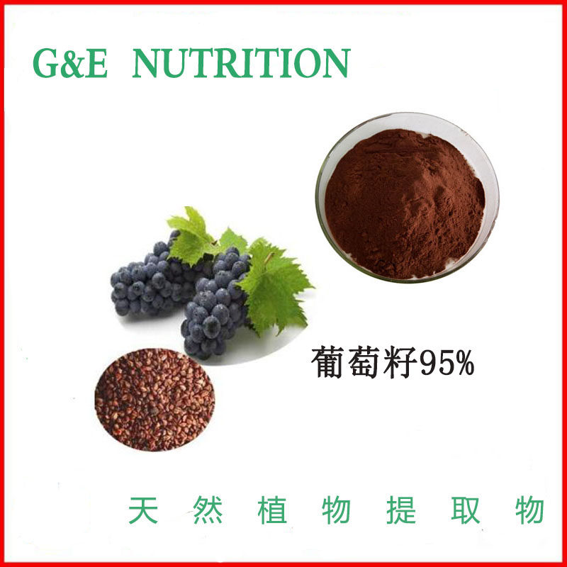 天然 葡萄籽95% 纯粉 高含量粉末 500g 每包 新品优惠