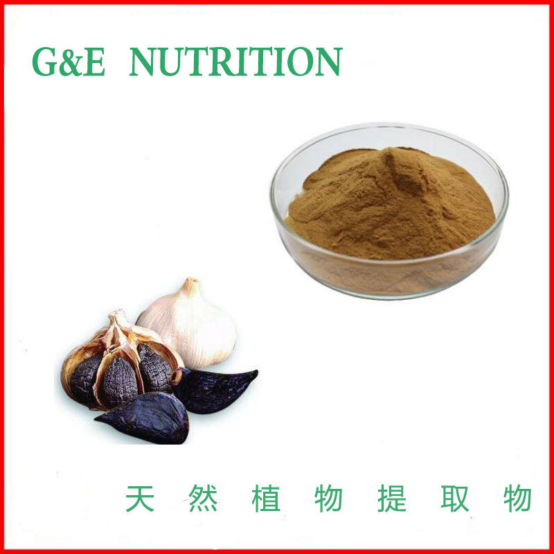工厂直销 黑蒜提取物粉末 10:1 黑蒜浓缩粉 1000g 包邮