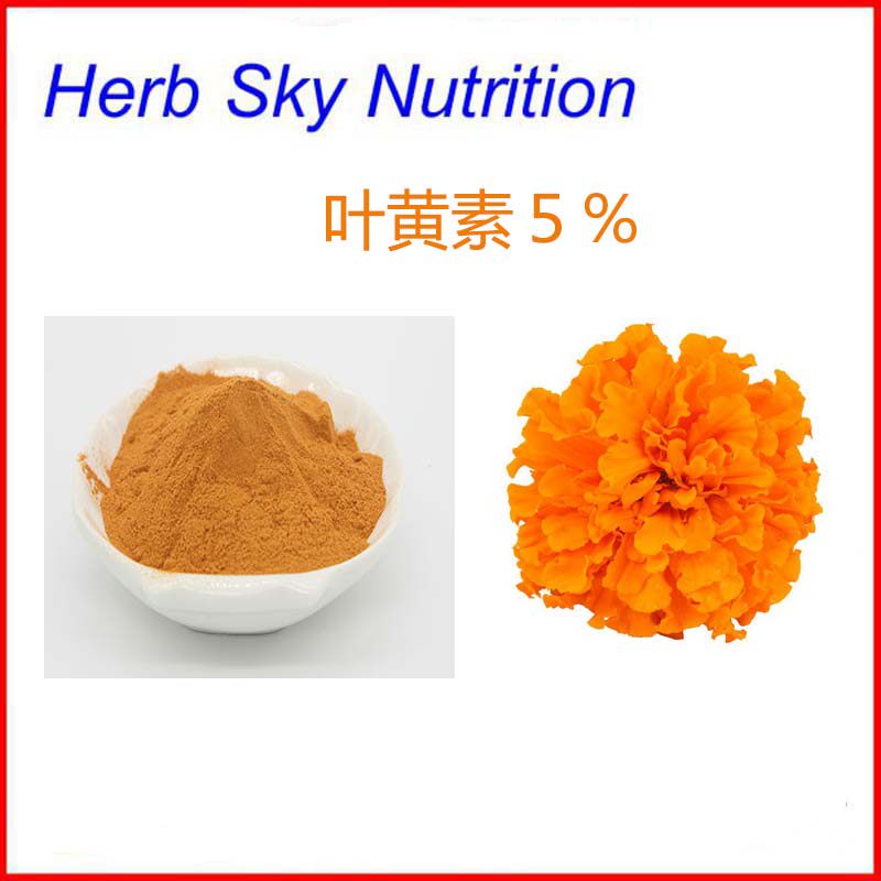 万寿菊提取物 叶黄素5% 质量保证  每包100克 包邮