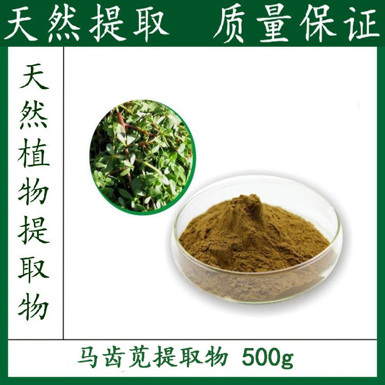 马齿苋粉 马齿苋提取物 马齿笕粉末 厂家包邮 500g 新品优惠