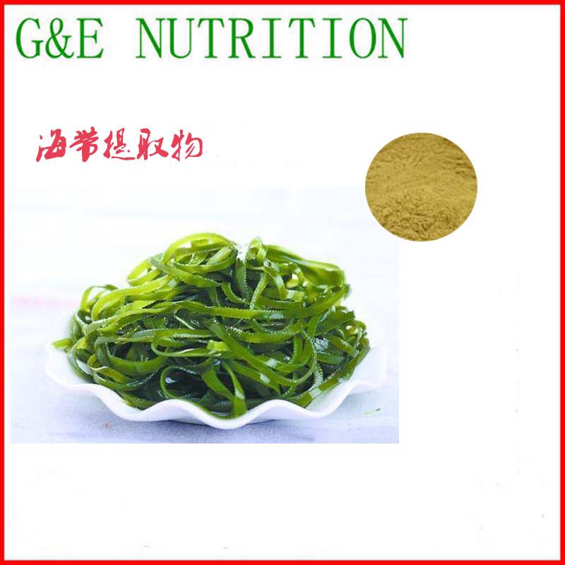 海带提取物 10:1 厂家直接 包邮 500g