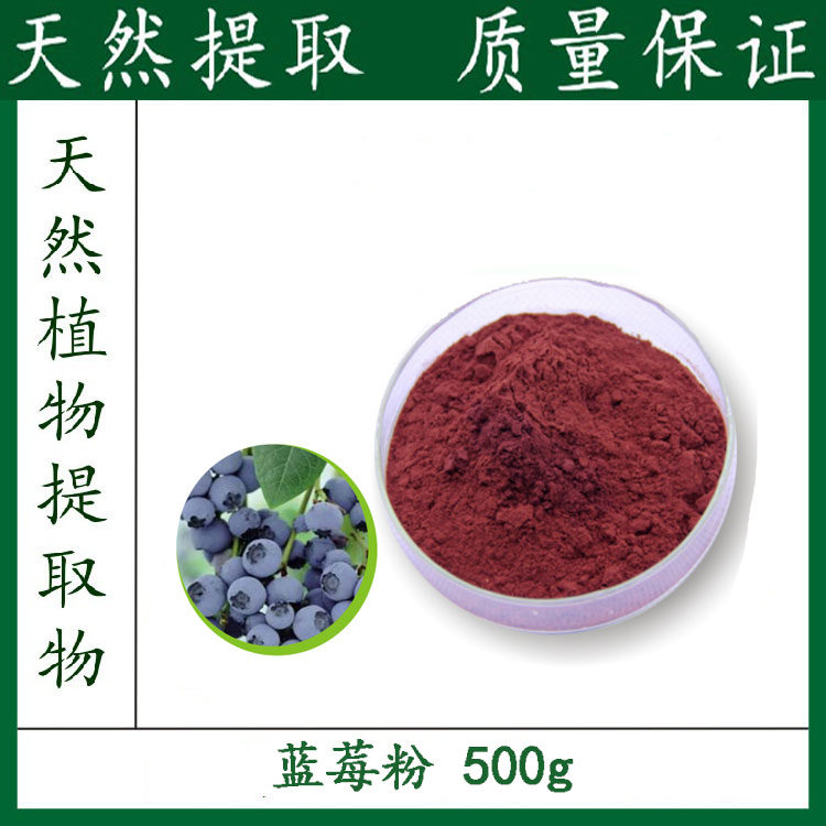 天然 蓝莓粉 蓝莓果粉100% 蓝莓果汁粉 500g 包邮 厂家直销