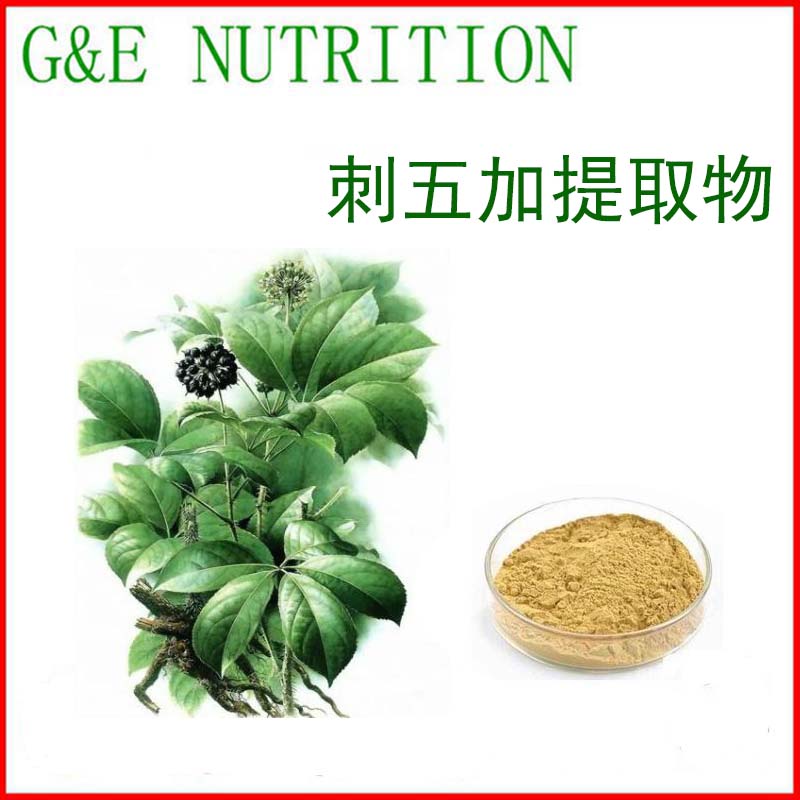 500g 天然刺五加提取物10:1 刺五加苷 厂家直销 包邮